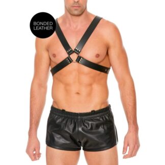 Leather Harness with Large Buckle